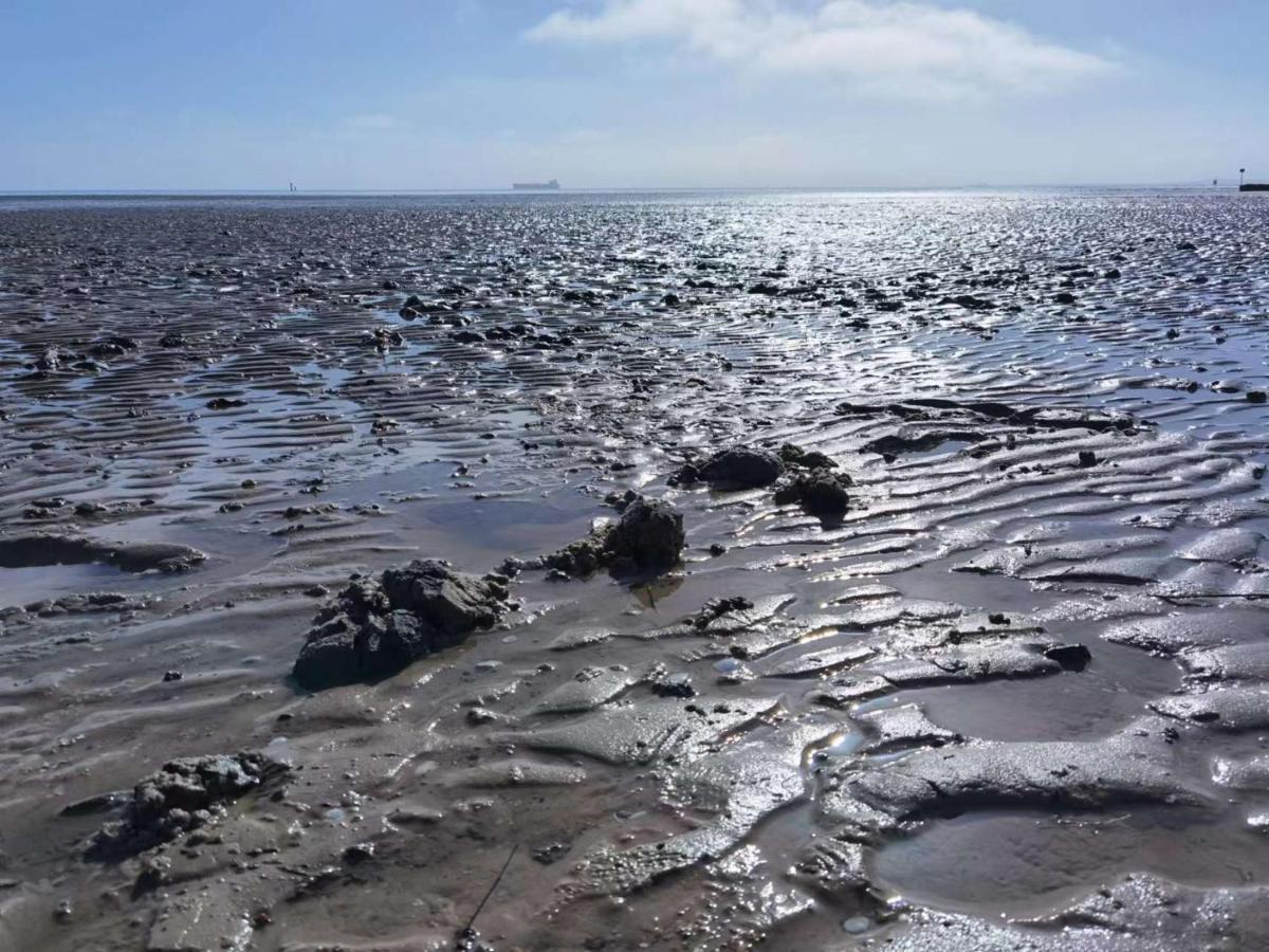 Schaake Schillig-Strandnahe Wohlfuehloase Mit Modernem Flair Und Kostenlosem Parken Exteriör bild